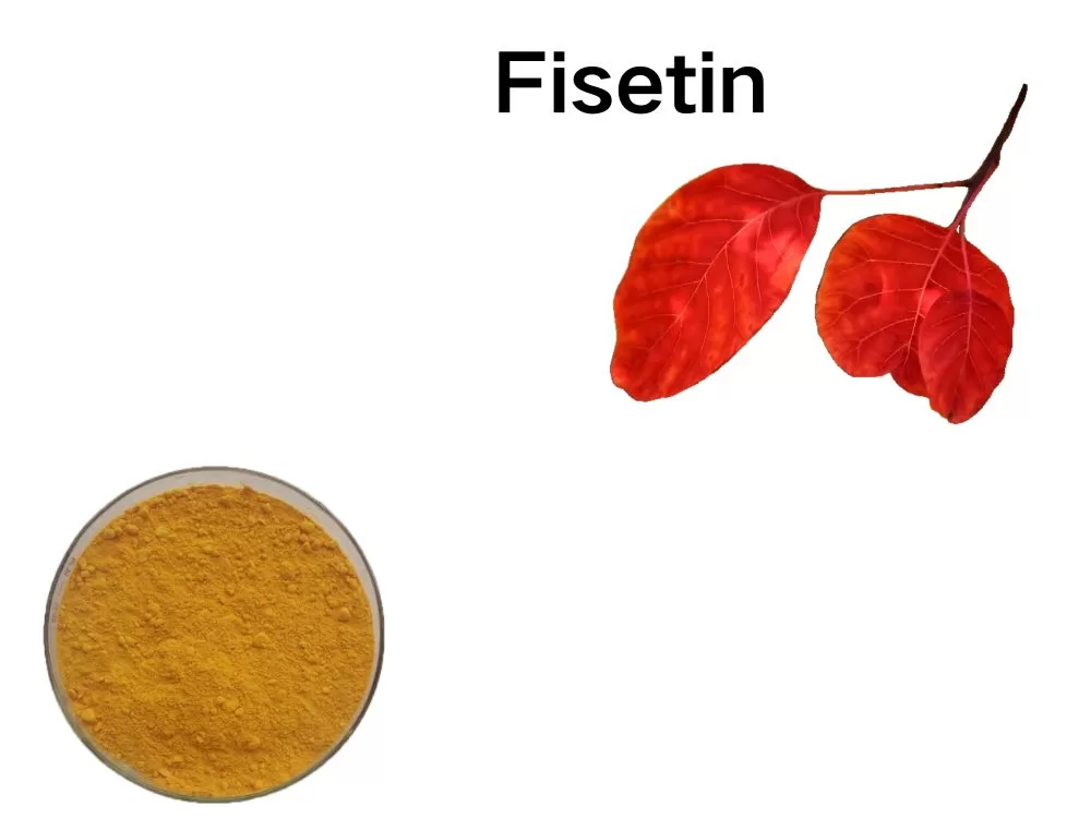 fisetin
